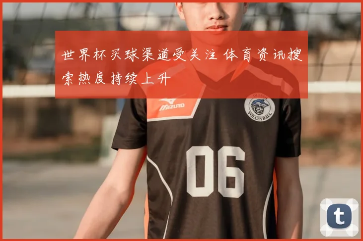 世界杯买球渠道受关注 体育资讯搜索热度持续上升