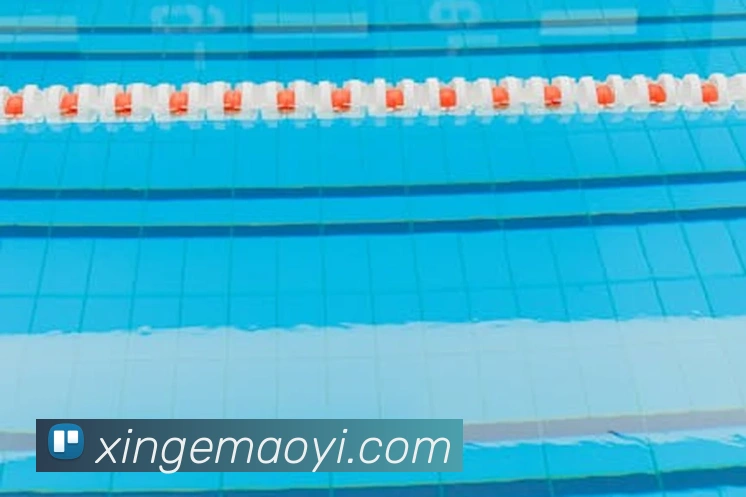 投注app官网平台生态图