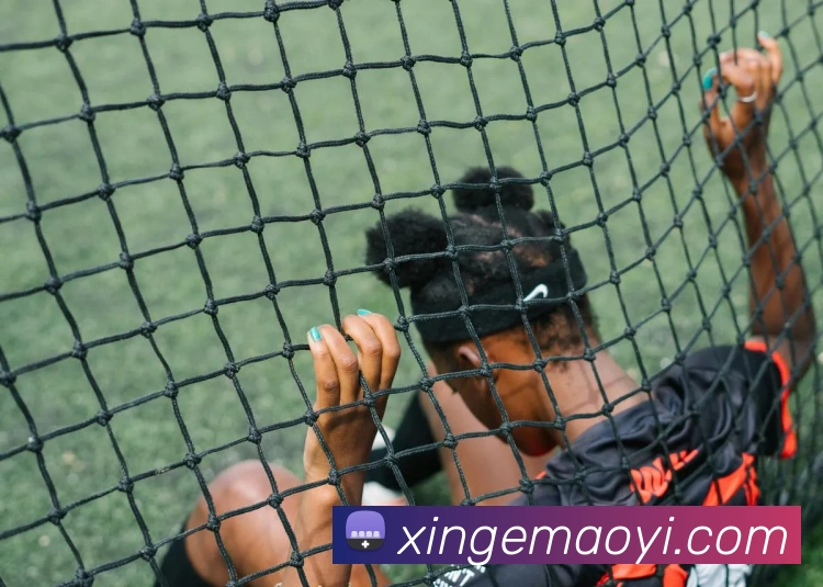 投注app官网APP 封面图